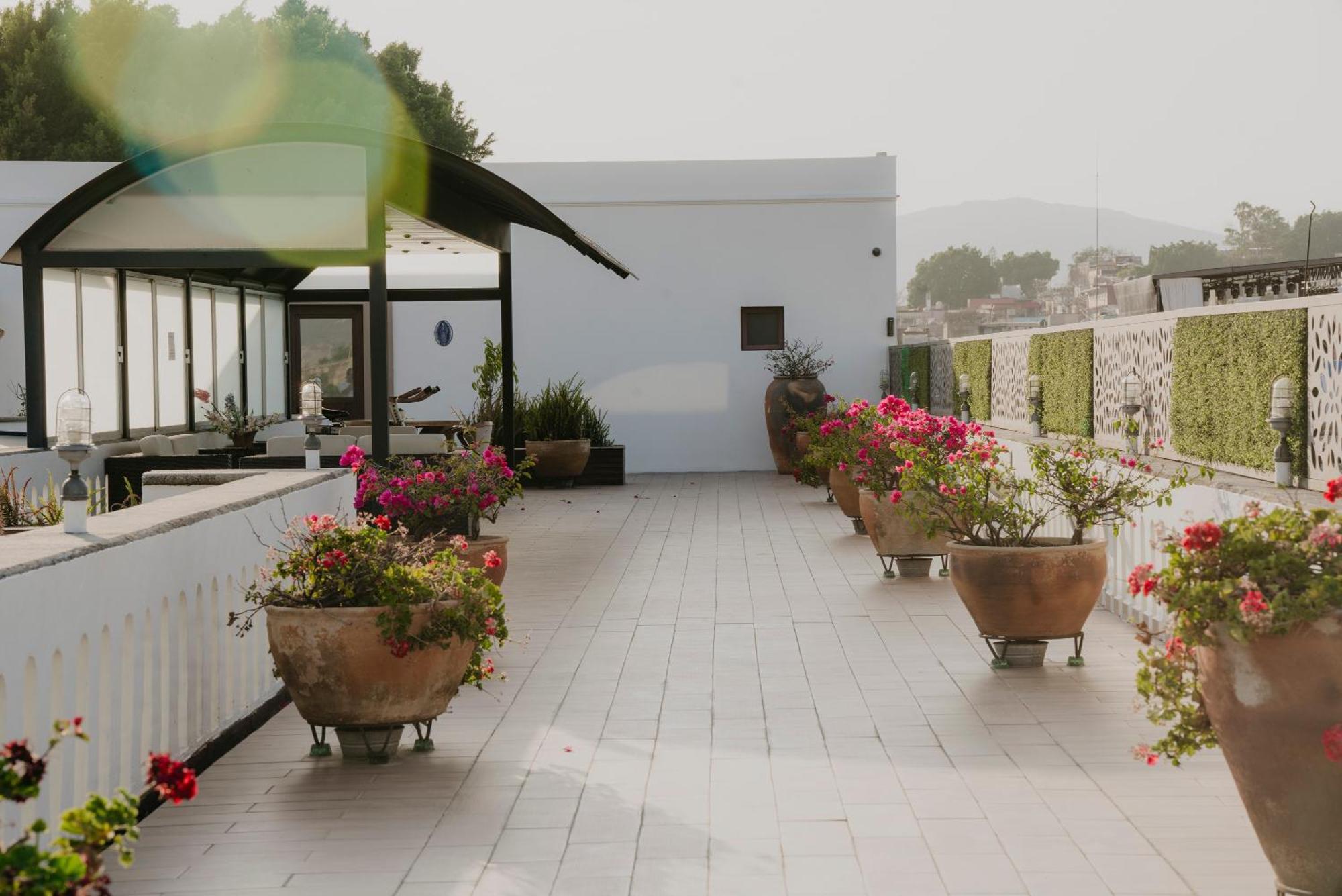 Hotel Casa Antigua Oaxaca Ngoại thất bức ảnh